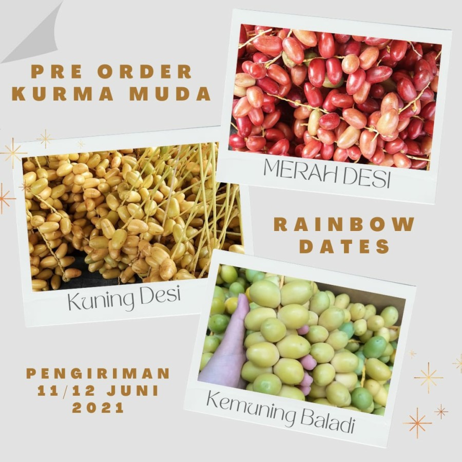 

Kurma Muda Promil