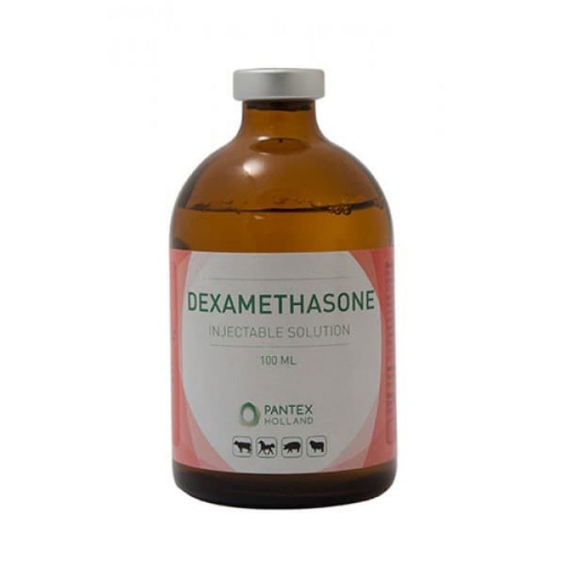 dexamethasone pantex 100ml anti radang hewan ternak