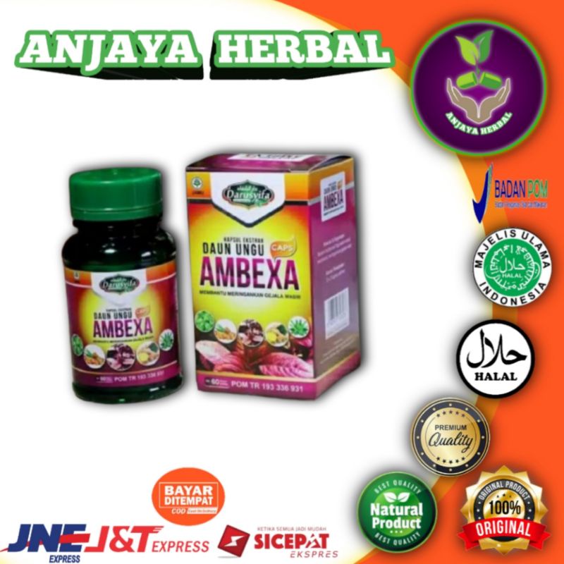 Ambexa daun ungu / obat ambeien ambexa / Ambexa obat wasir / obat herbal Ambexa / kapsul 