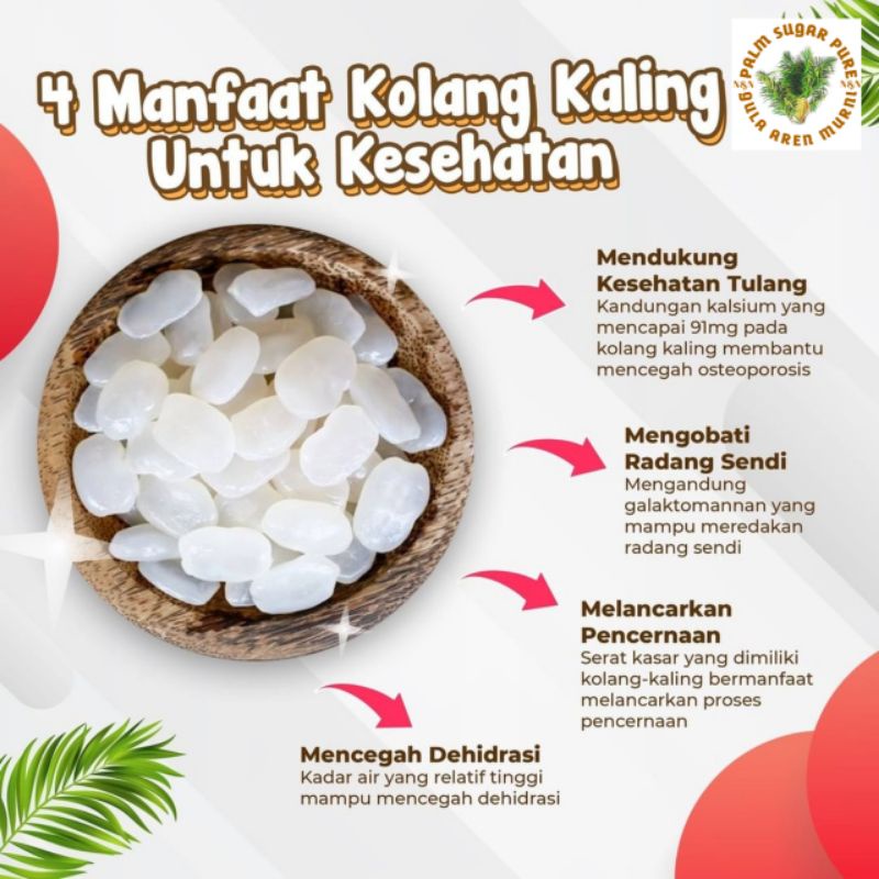 Suplayer Kolang Kaling Mentah | Kolang Kaling Tanpa Obat Dan Pengawet | kolang Kaling Organik