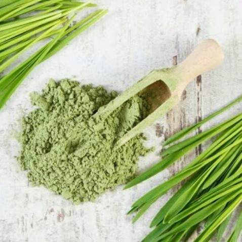 

WHEATGRASS POWDER 10 GRAM 100% MURNI NATURAL FOOD GRADE NO ADDTIVES