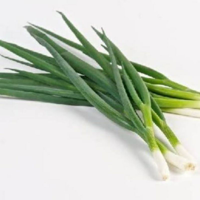 

250 GR Daun Bawang Segar - Sayuran Hijau Fresh Jakarta