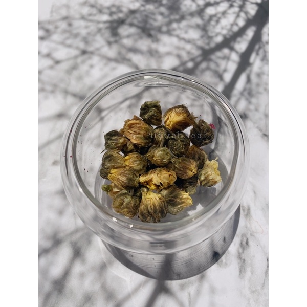 

baby chrysanthemum - sample pack
