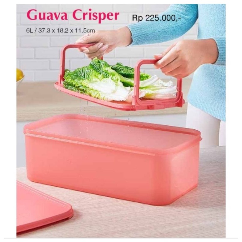 guava crisper