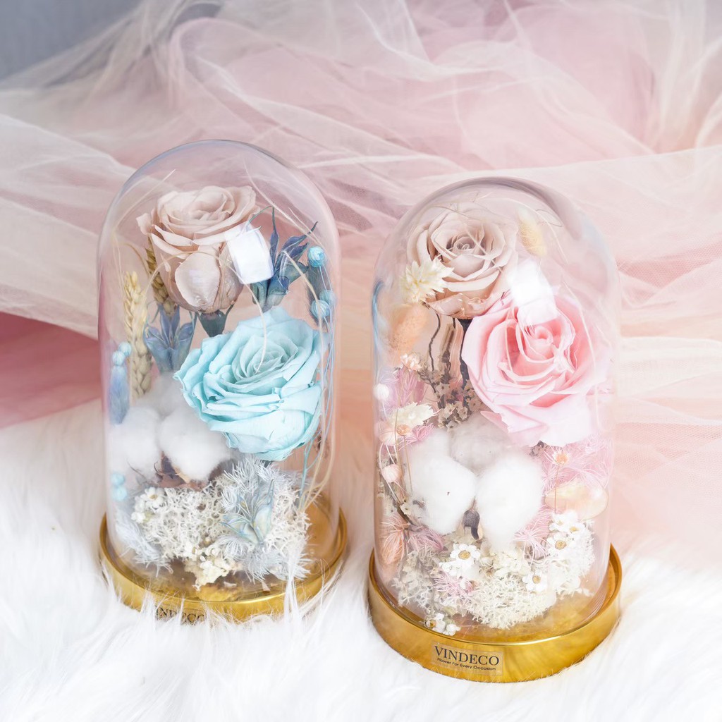 Glass Dome Magical Rose