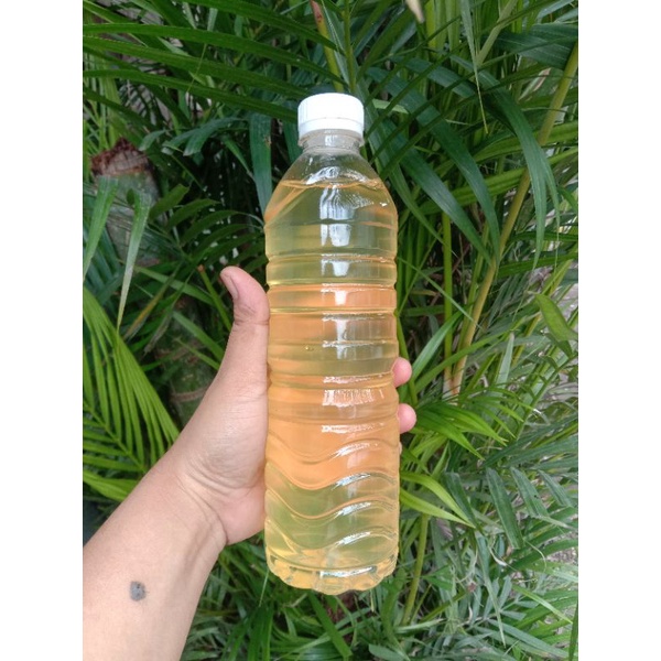 

minyak kelapa 100%murni