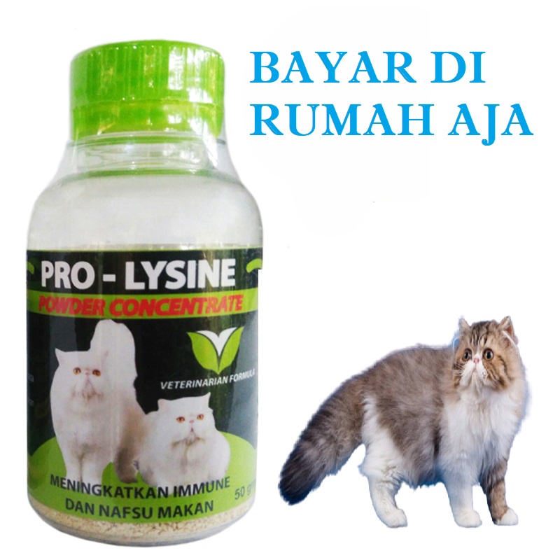 VITAMIN KUCING ANJING KELINCI PRO LYSINE OBAT PENAMBAH NAFSU MAKAN MENINGKATKAN ANTI BODY AMPUH TERMURAH