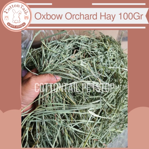 ORCHARD Hay OXBOW 100GR Makanan KKELINCI GUINEA PIG MARMUT CHINCHILLA HAMSTER DLL