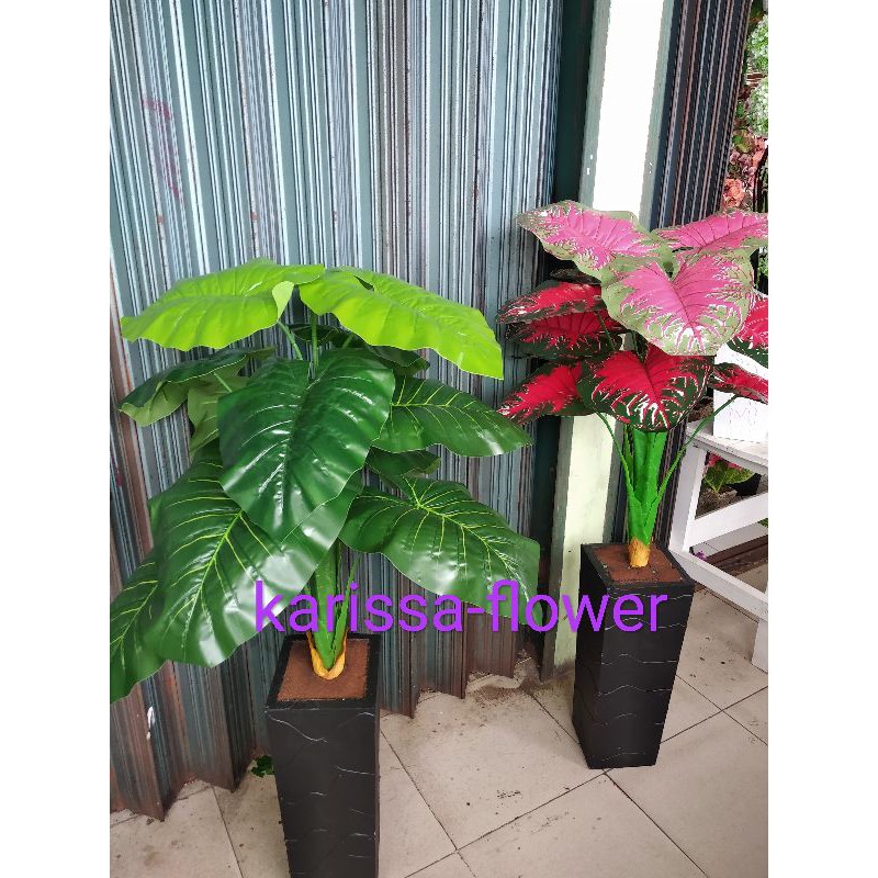 bunga keladi(tanpa pot, bunga nya saja)