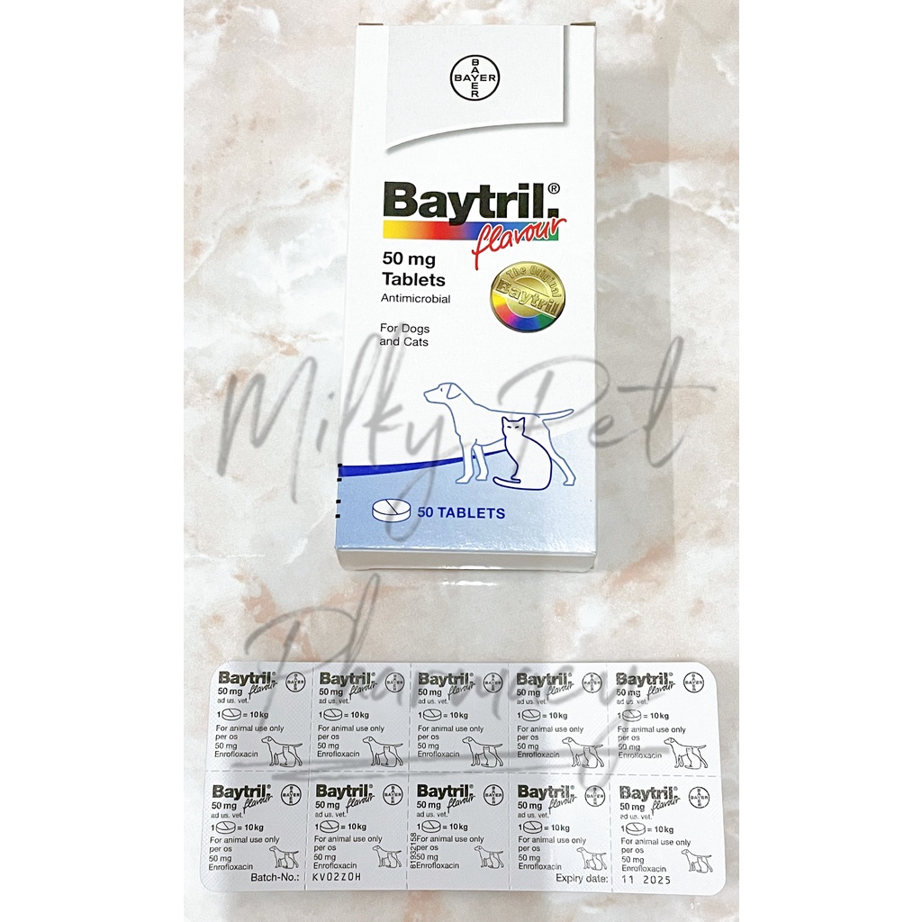 BAYTRIL FLAVOUR 1 STRIP (10 TABLETS)