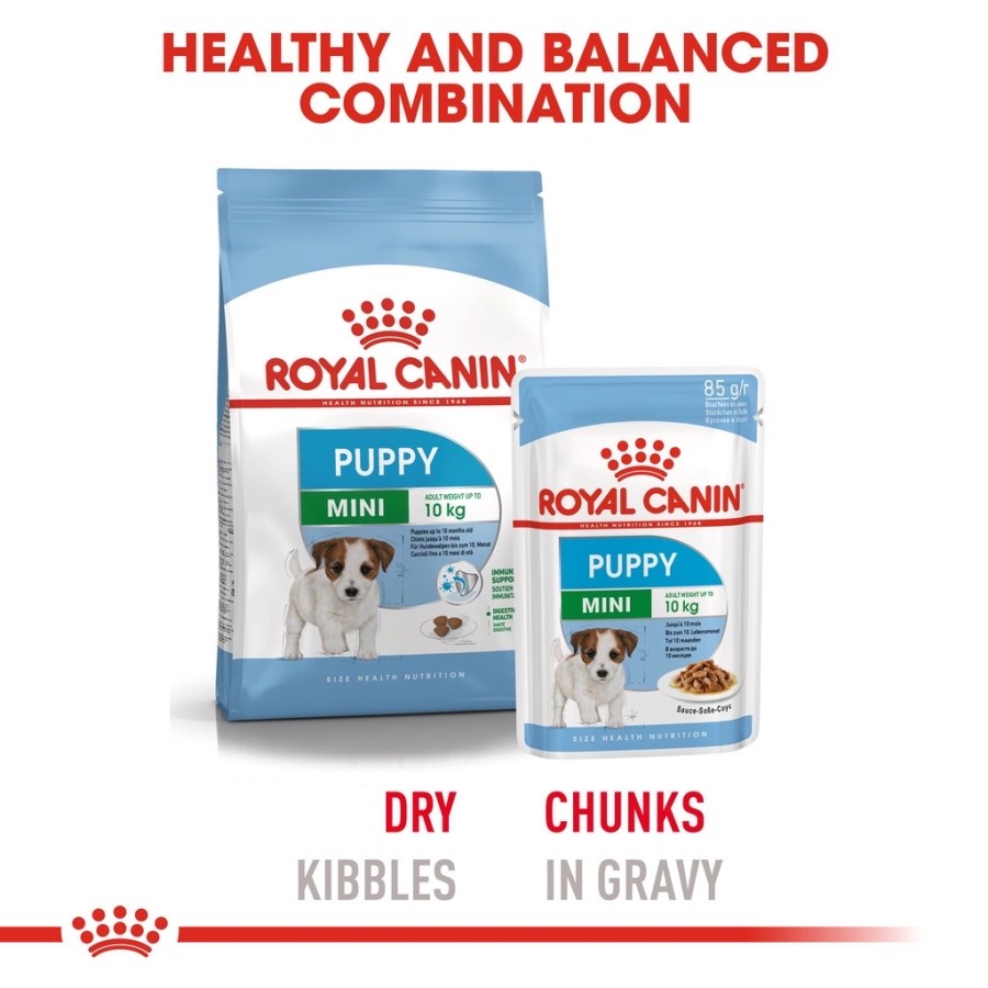 Royal Canin Mini Puppy Wet 85g Mini Adult Wet 85g Makanan Basah Anjing