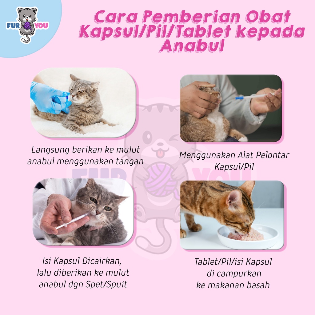 Vitamin Virus Botol Kapsul Virus Kucing terkena Panleukopenia Distamper Calici