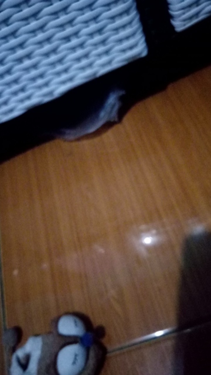 Asifa Batik Hrb026 Kenongo Kemeja Tosca Pendek Pekalongan Padi M L Xl Sogan Tulis Halus Kemeja Batik