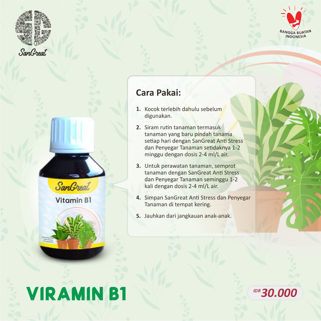 SanGreat Vitamin B1 Tanaman agar tidak stress dan lebih tahan penyakit