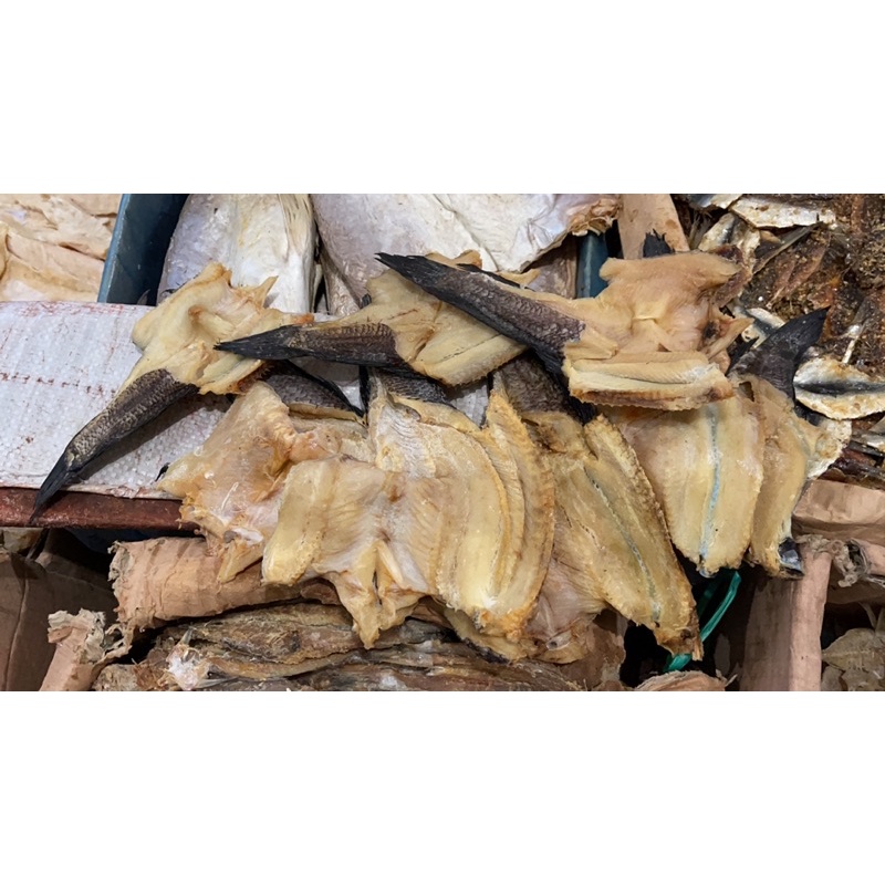 

Ikan Asin Gabus Tanggung