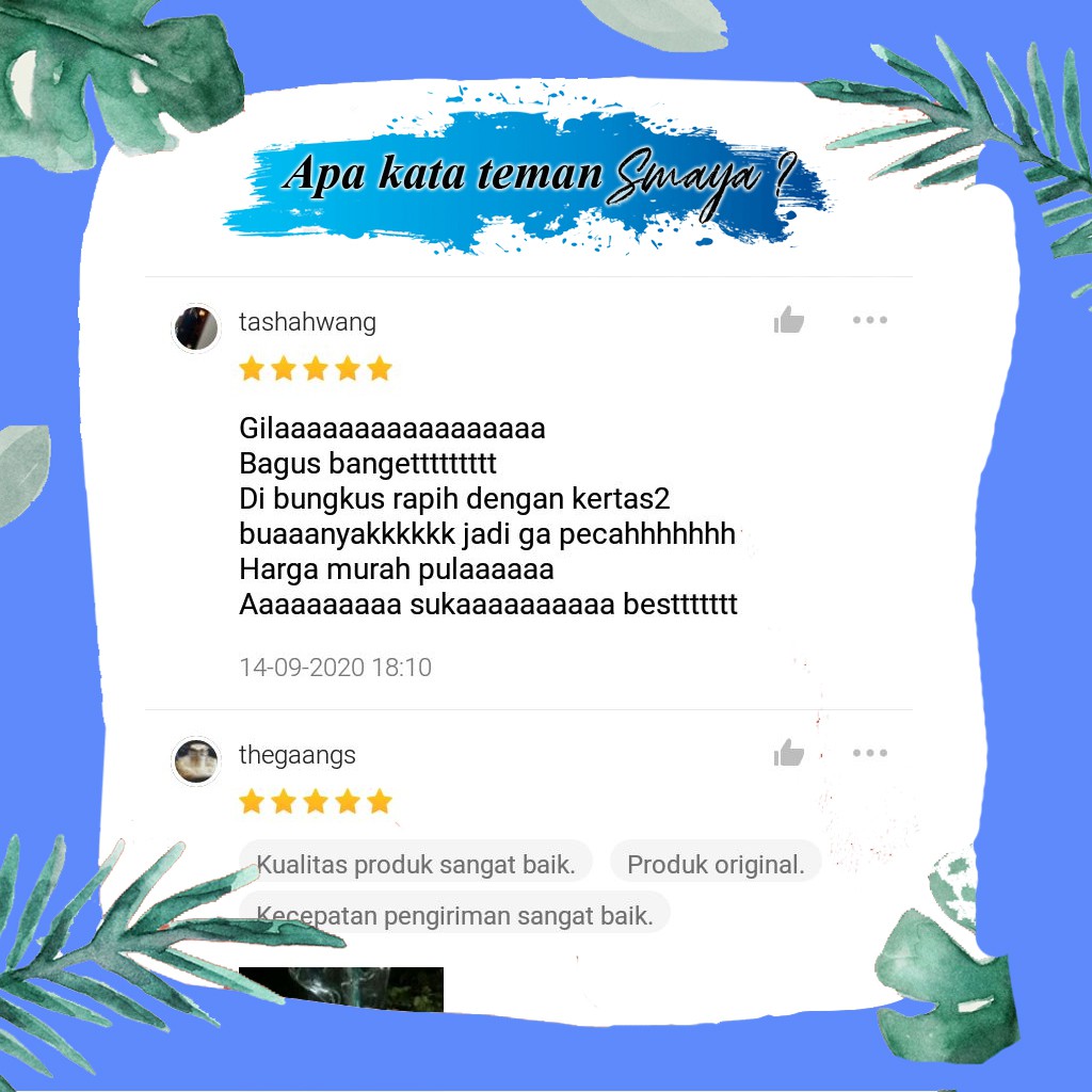 AQUARIUM IKAN CUPANG | AKUARIUM AQUARIUM IKAN HIAS KAYU KACA AKRILIK  UNIK KECIL MINI BULAT MURAH