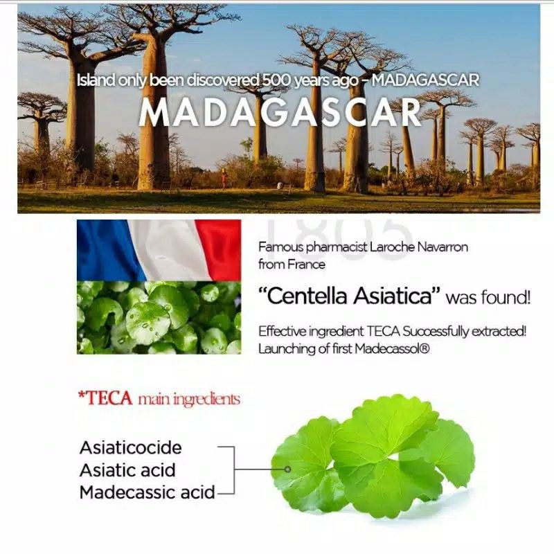 Skin1004 Madagascar Centella Asiatica Cream | Soothing Cream 75G 30 gr Original 100% Baru Masih Segel