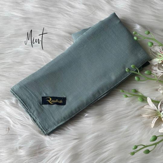 SEGIEMPAT PARIS PREMIUM BY RAUDHAH-Mint