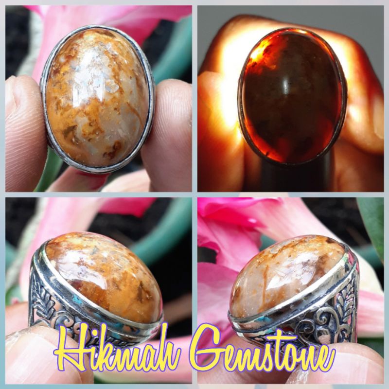 Batu Fosil Kayu Aren Kristal Lawasan