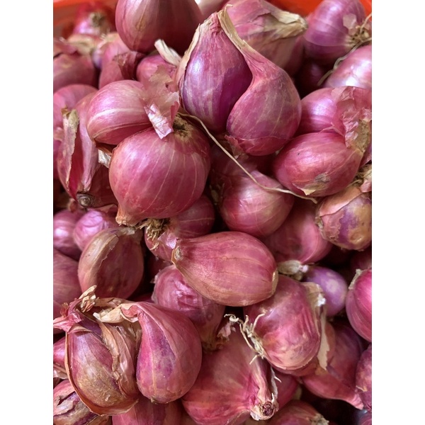 

Bawang Merah