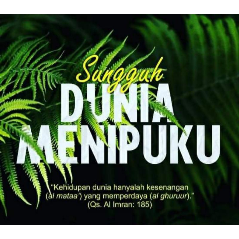 HEMAT JUBAH NAJMAH WOL / POLYESTER DEWASA THOBE ALMADINI JUBAH SAUDI RAWAT AL SAFA JUBAH ARAB