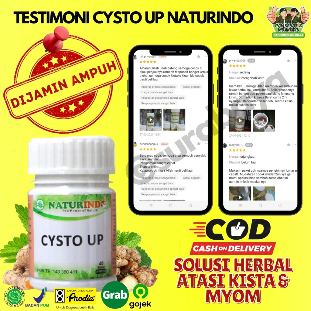 Obat Kista dan Miom Ovarium Obat Herbal Kista Bartholin Obat Penyakit Rahim Obat Cista Cysta Obat Miom Myom Coklat Obat Kista Endometriosis Ampuh Jamu Herbal Kista Miom Tumor Mioma Ampuh BPOM HALAL MUI CYSTO UP Naturindo Surabaya 40 Kapsul-8