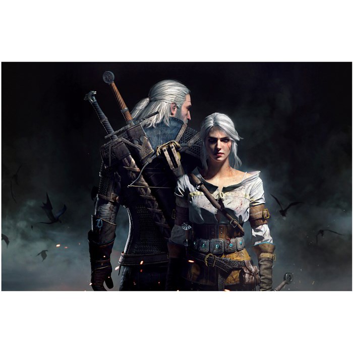 PP324118 The Witcher 3 poster