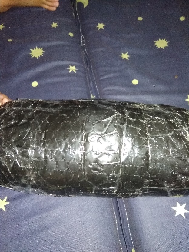 Payung Lipat 3 Nagoya Frozen Disney