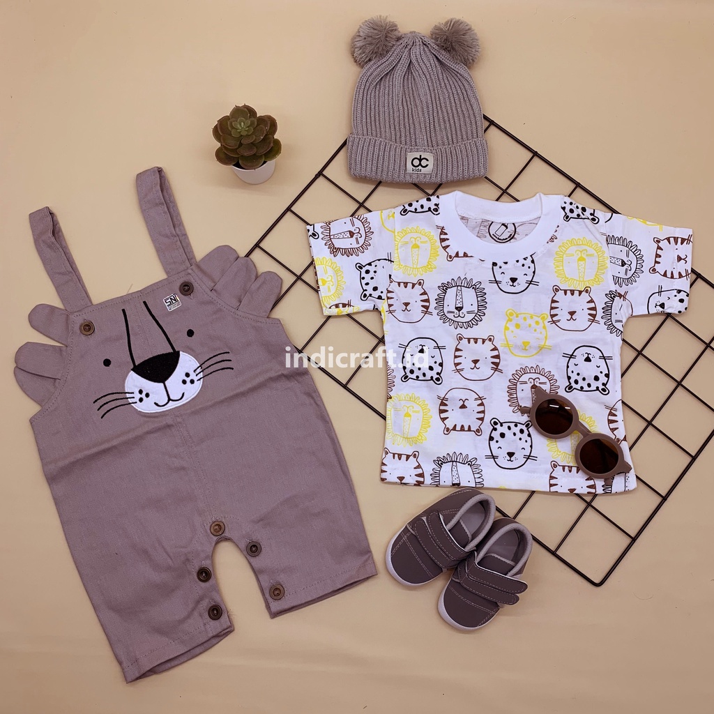 Hampers Bayi Laki-Laki 0-12 Bulan / Paket Kado Bayi Cowok / Baby Boy Gift Set Premium