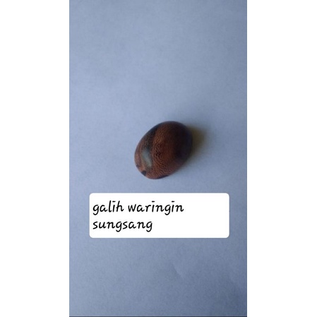 galih waringin sungsang