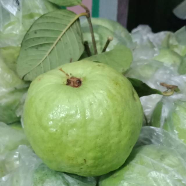 Jual Jambu Kristal 1kg Tanpa Biji Shopee Indonesia 