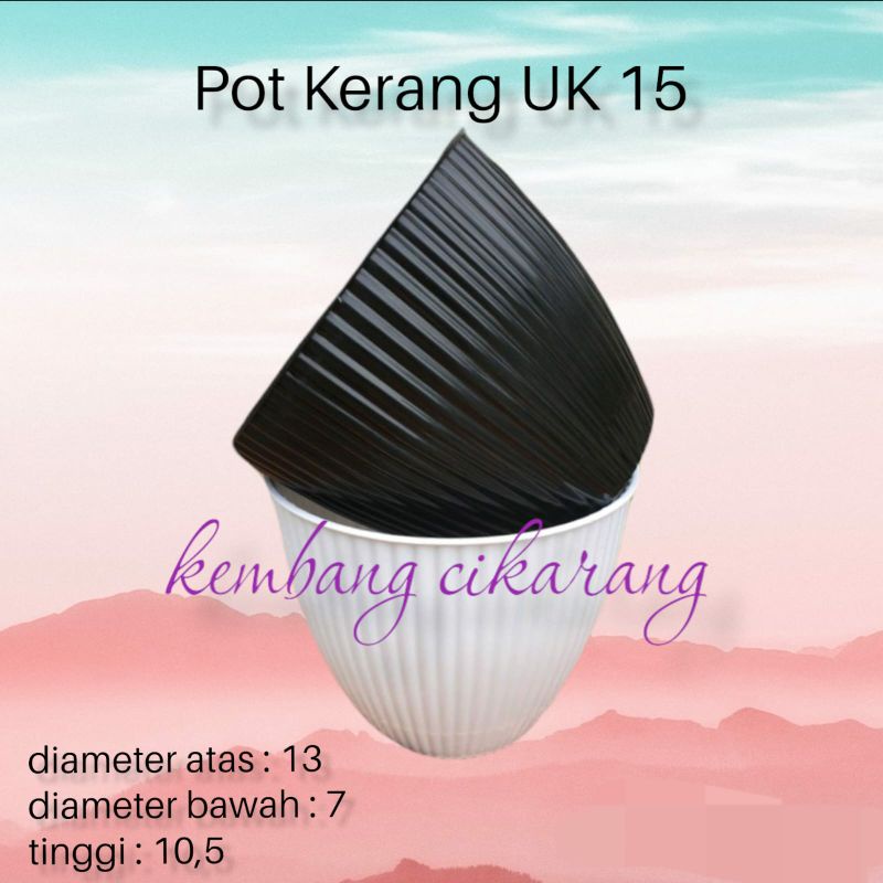 POT KERANG ukuran 15 (13cm) pot bunga pot tanaman cantik murah grosir