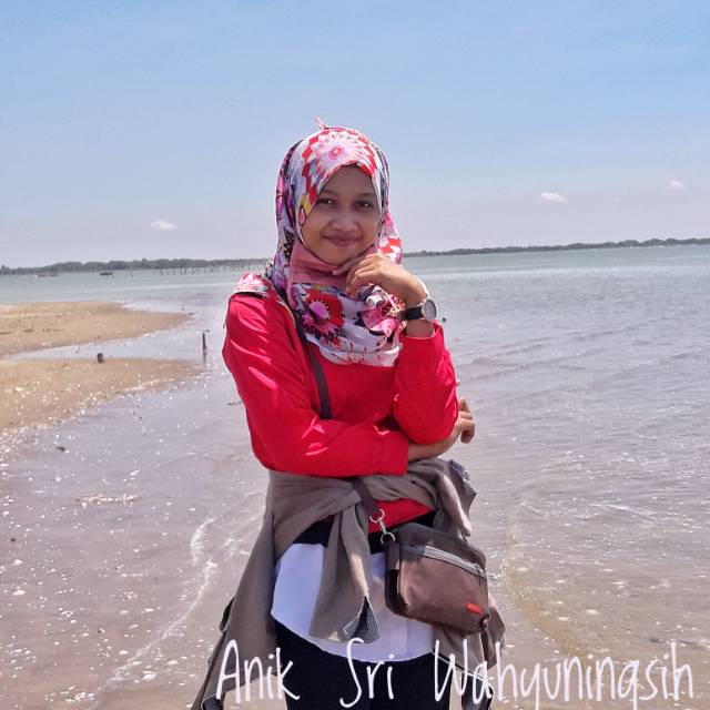 aniksriwahyuningsih
