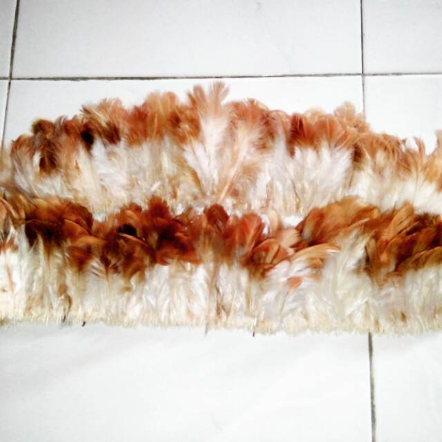 Bulu ayam horn dijual per meter/ Bulu bahan mahkota papua/ bulu aksesoris papua