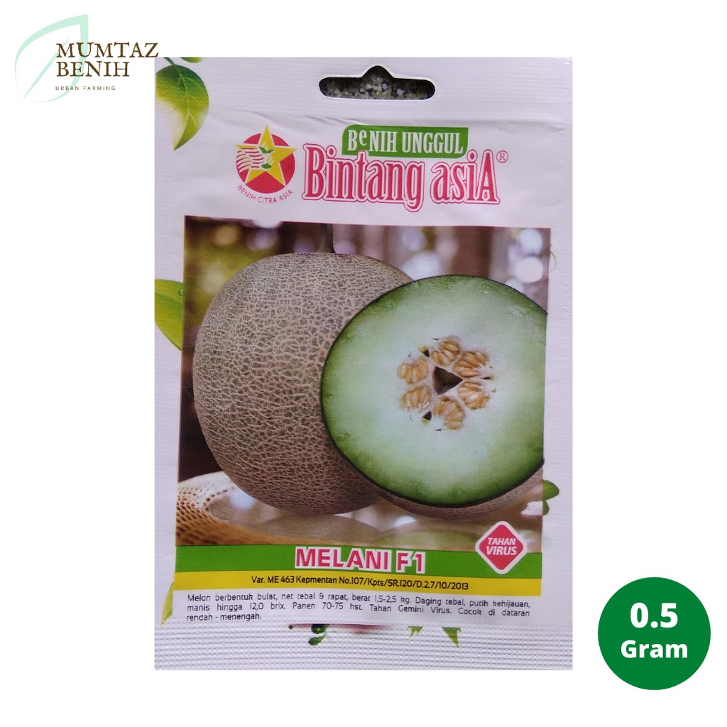 Benih Melon Melani (Bintang Asia)