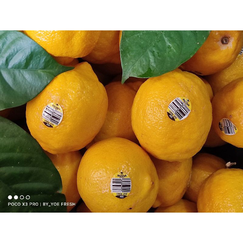 

lemon segar
