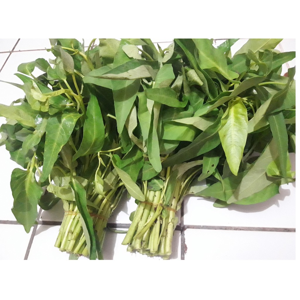 

Kangkung / 1ikat