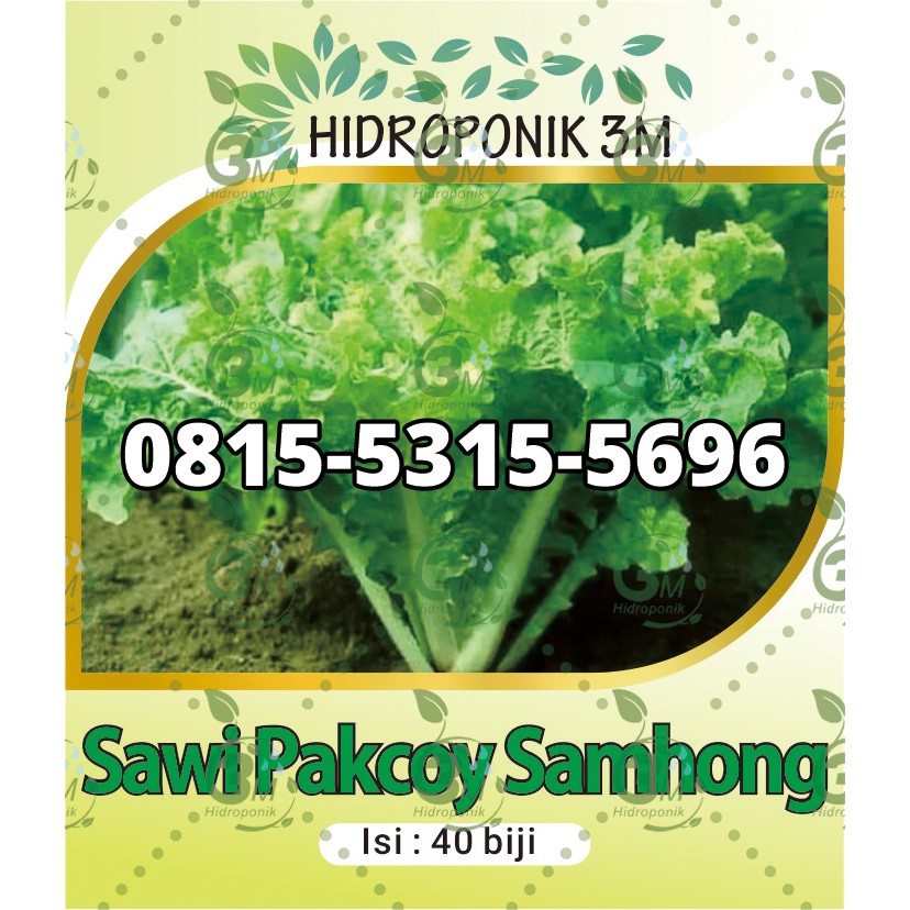 Benih Sawi Samhong - Repack