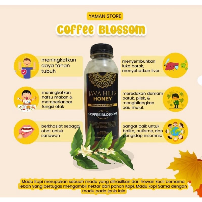 

madu murni premium coffee blossom raw honey 350gr