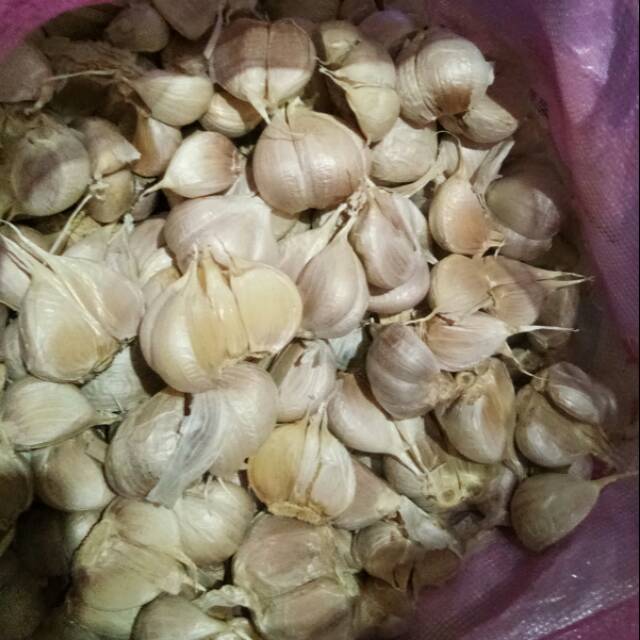 

Bawang putih