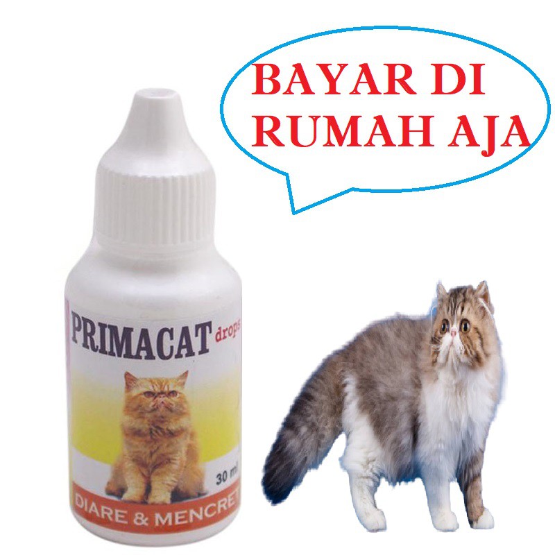 OBAT KUCING MURAH PRIMACAT KUCING SAKIT MENCRET DIARE AMPUH