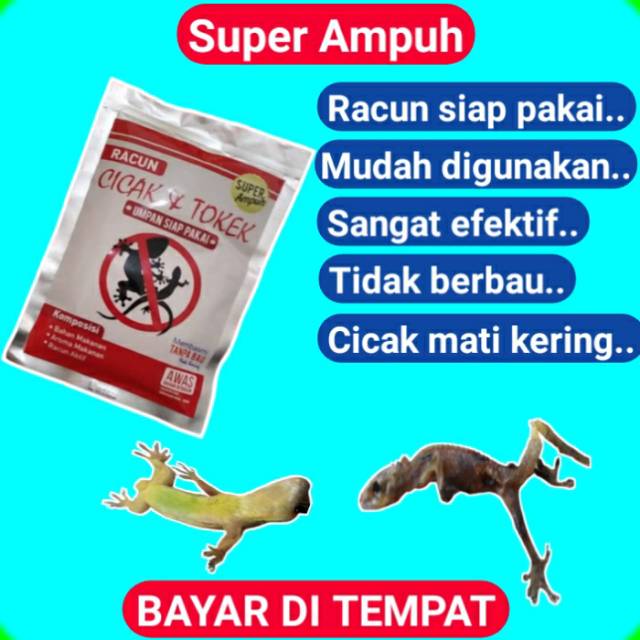 RACUN PEMBASMI CICAK DAN TOKEK OBAT RACUN PEMBASMI CICAK SUPER AMPUH