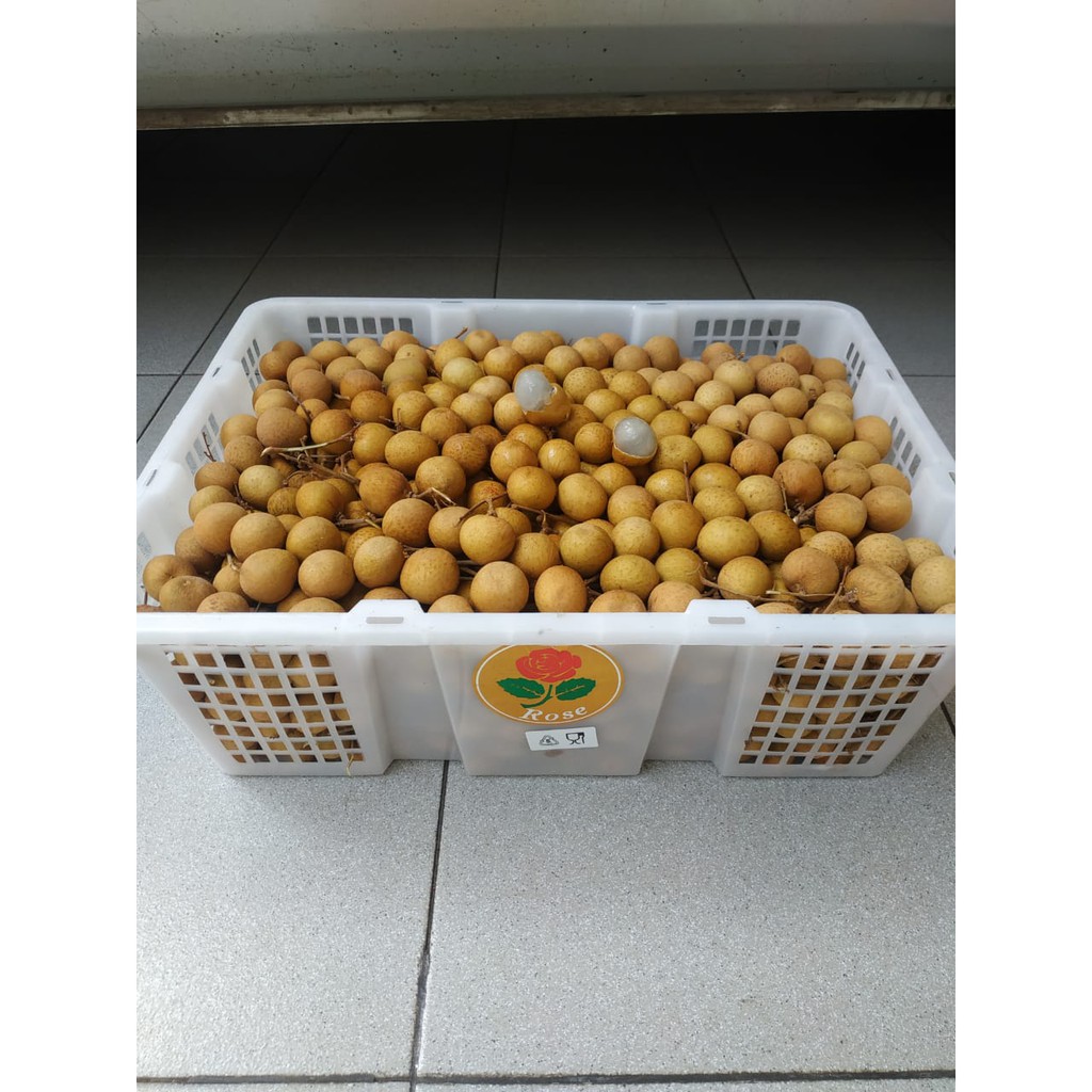 

Lengkeng Emas Bangkok Jumbo 1 Keranjang (10 KG) Fresh Import