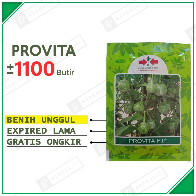 Provita F1 Bibit Terong lalap Unggul Benih Terung Bulat Hibrida