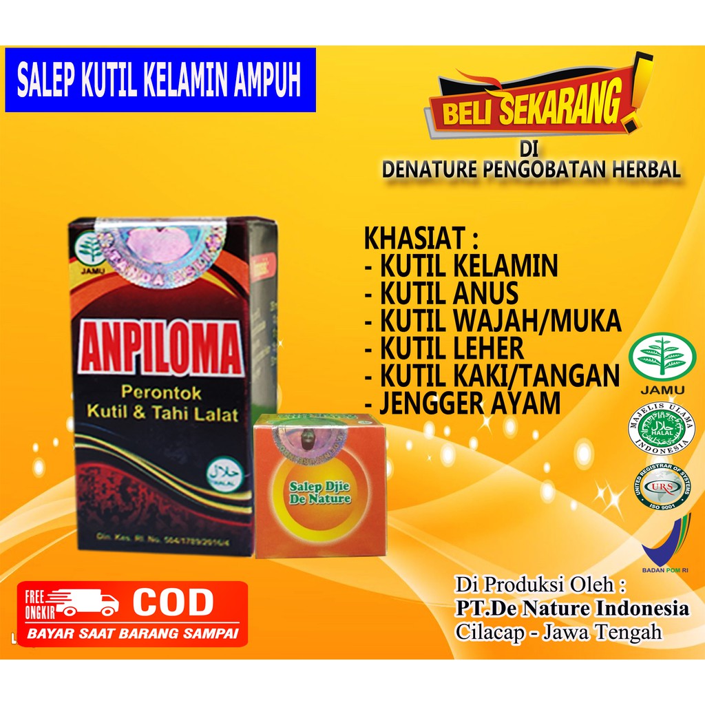 AMPUH PERNTOK KUTIL - KUTIL ANUS - KELAMIN - LEHER - IBU HAMIL - SELANGKANGAN - TAHI LALAT
