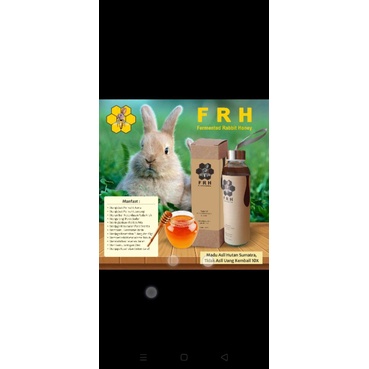 

FERMENTED RABBIT HUNNY madu asli