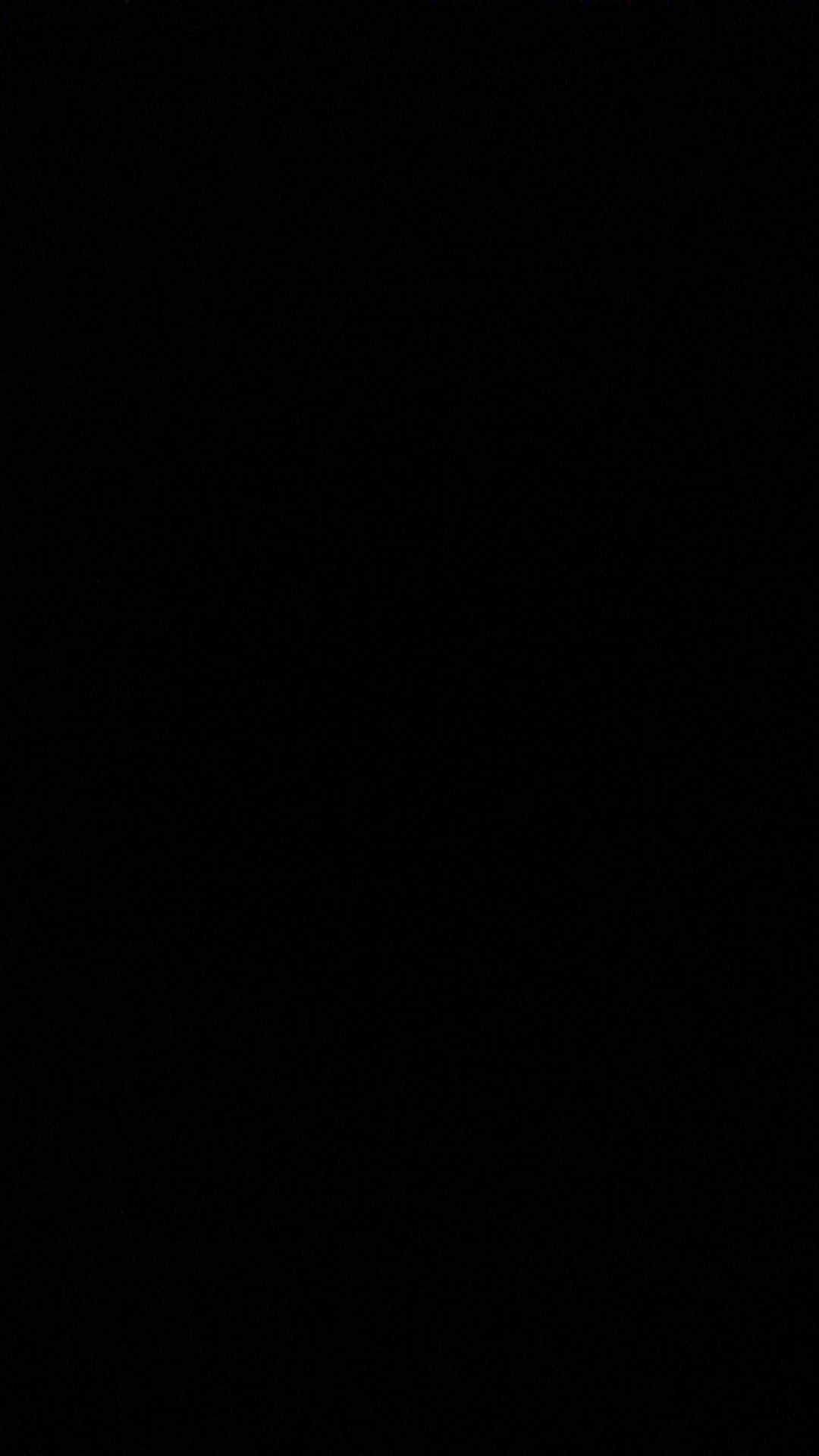 European Stainless Chopstick / Sumpit