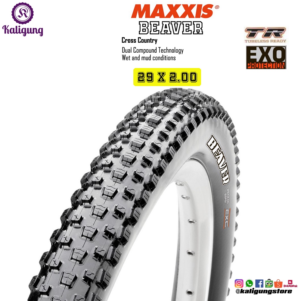 Ban Luar MAXXIS BEAVER 29 x 2.00 Tubeless Ready - Ban Sepeda MTB 29er