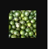 

jeruk kunci 1 kg