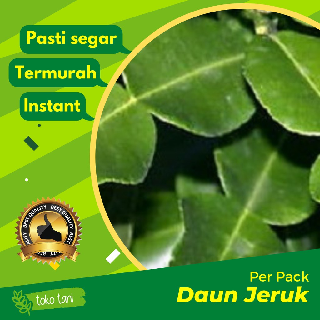 

Daun Jeruk Per Pack